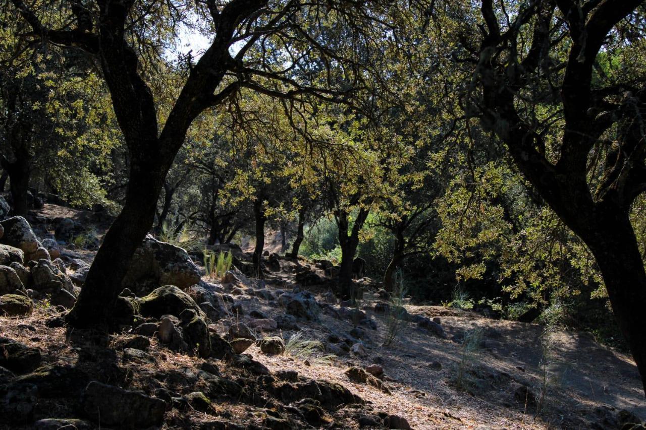 La Costanilla De Los Angeles Navalcán Kültér fotó